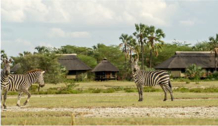 Tanganyika wilderness camps